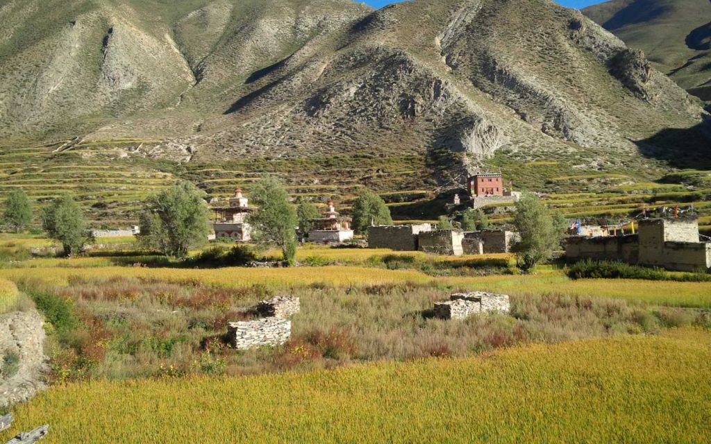 upper dolpo trek