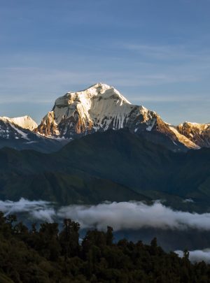 Ghorepani Poon Hill Ghandruk Trek