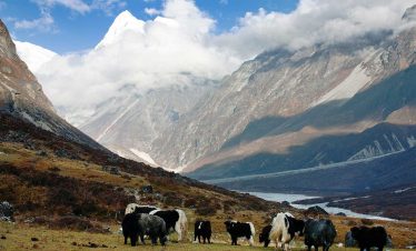 Langtang Ganja La Pass Trek