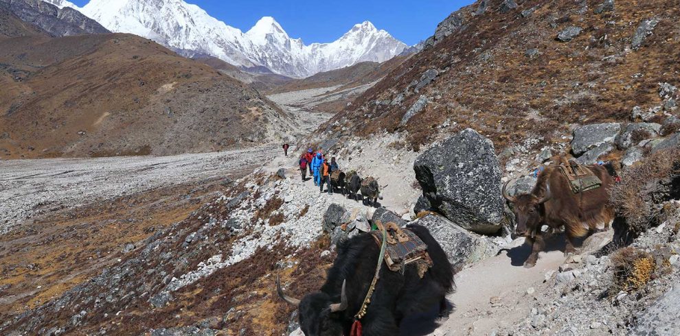 Everest Two Passes Trek