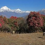 When To Go Annapurna Circuit Trek