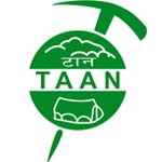 Taan