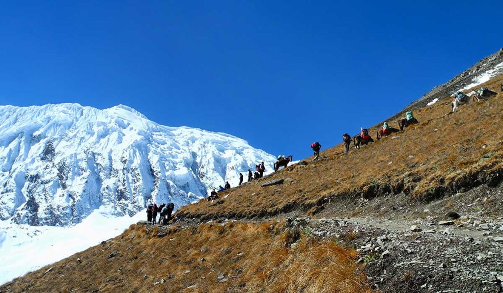 Annapurna Circuit trek