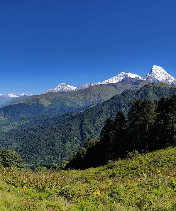 mulde hill trek