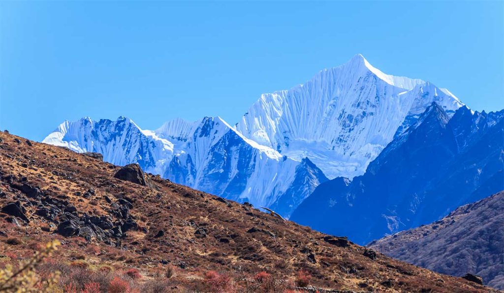 Langtang Solo Trek Nepal