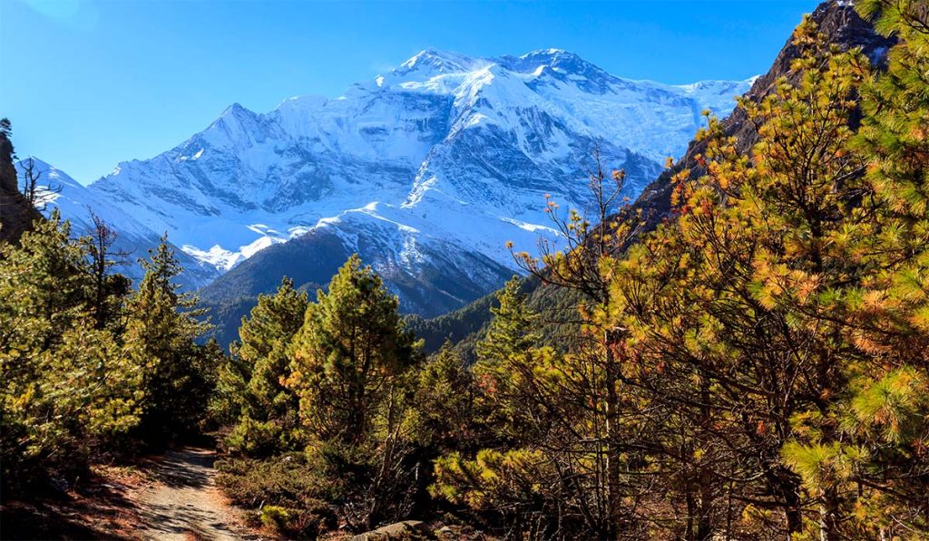 Clear autumn mountain views and dry forest trails in October.