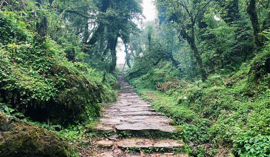 Shivapuri Day Hiking
