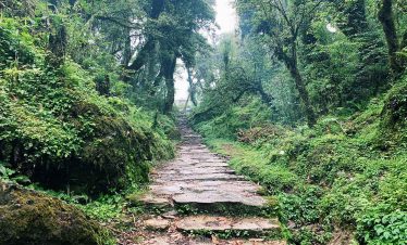 Shivapuri Day Hiking