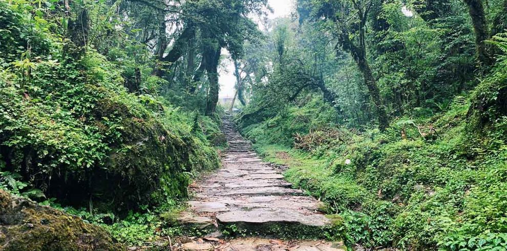 Shivapuri Day Hiking