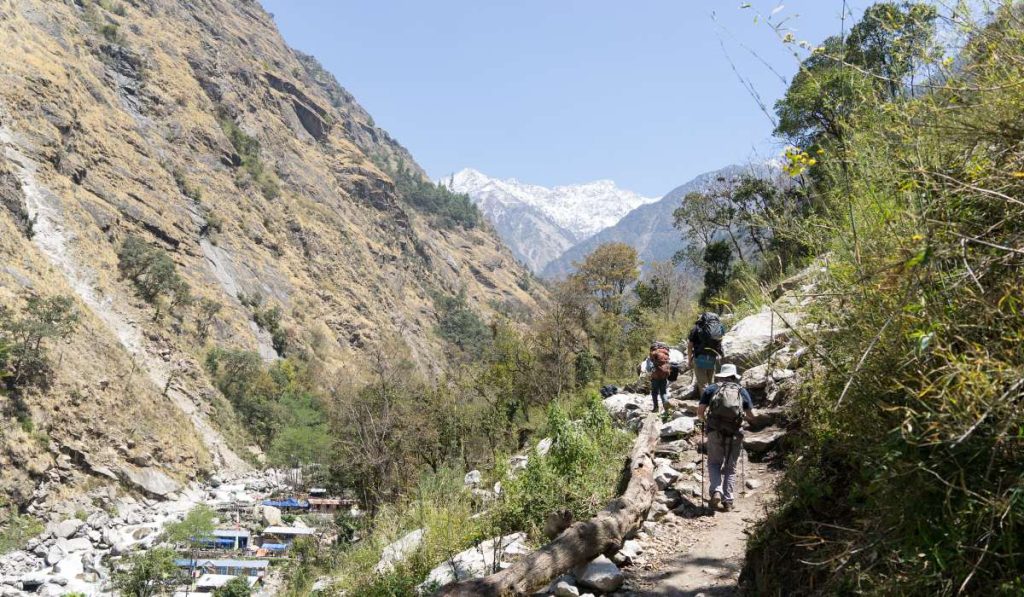 Best Time for Langtang Valley Trek