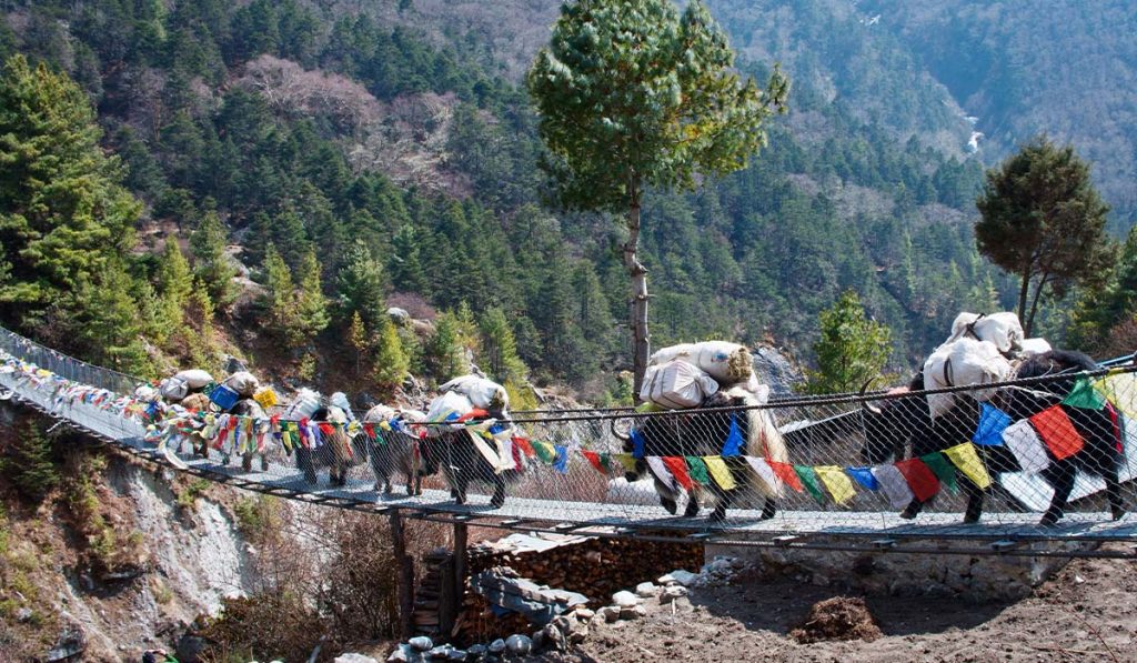 Everest Base Camp Trek in trails